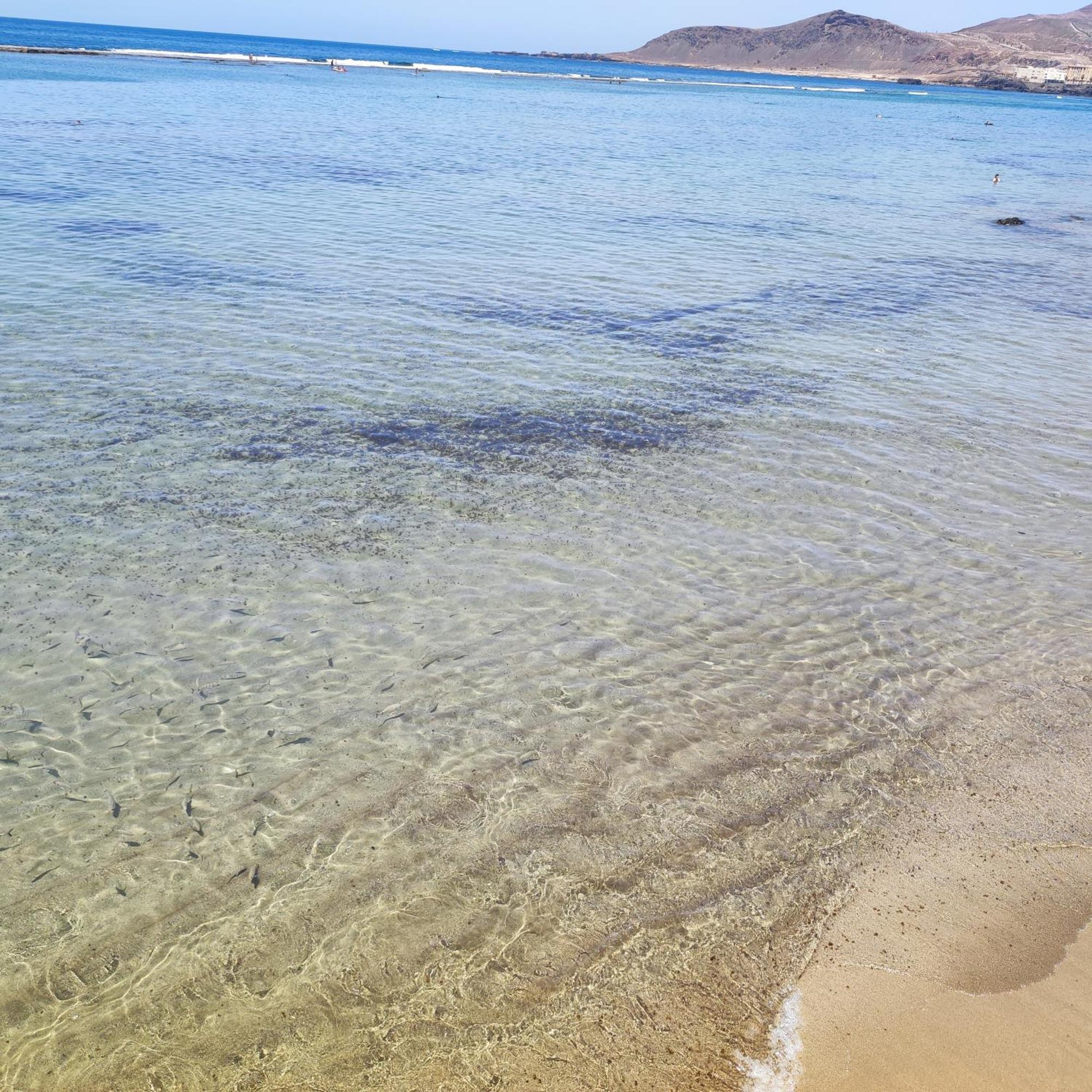 Mirlo Canteras Las Palmas de Gran Canaria Eksteriør bilde